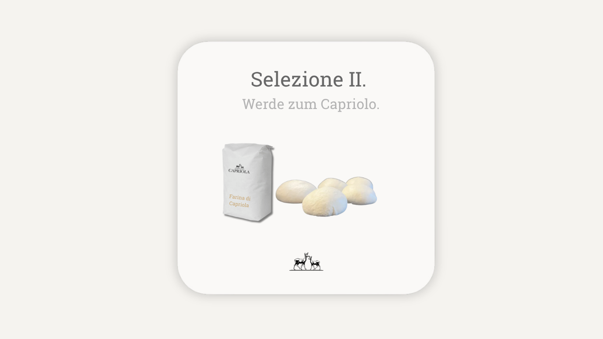Selezione II.